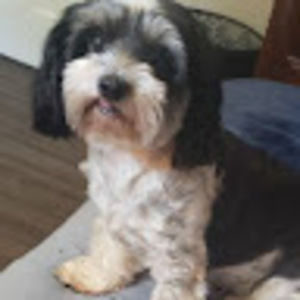 Meet your Posher, Kaylee